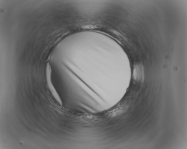 X0000080771444200701021109