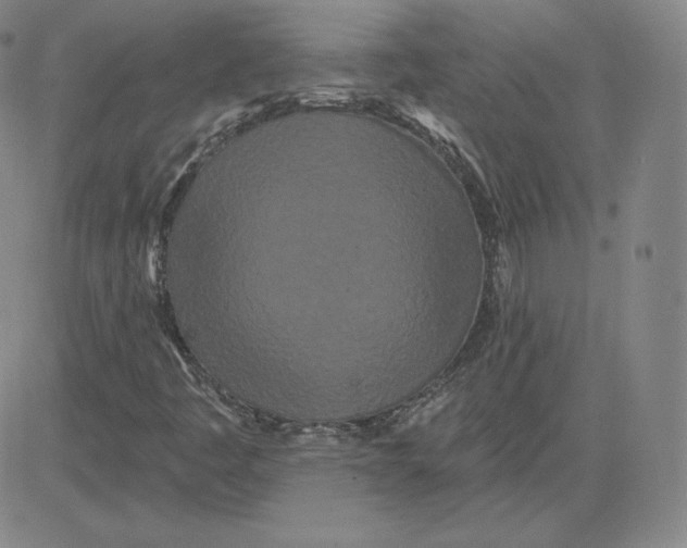 X0000080771445200701021109