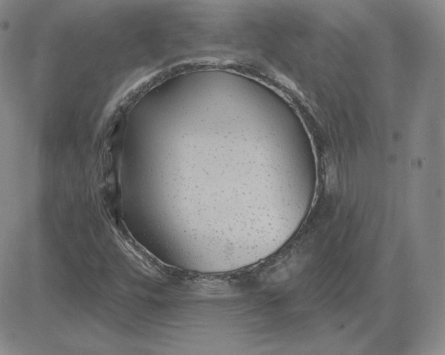 X0000080771448200701021109