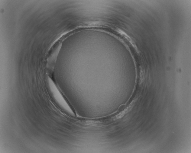 X0000080771449200701021109