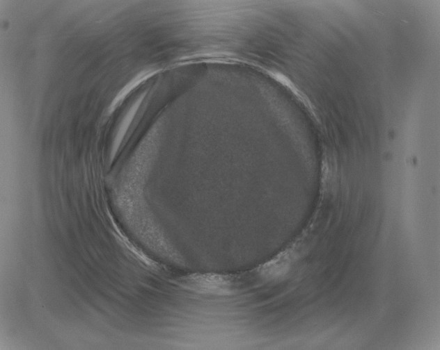 X0000080771450200701021109