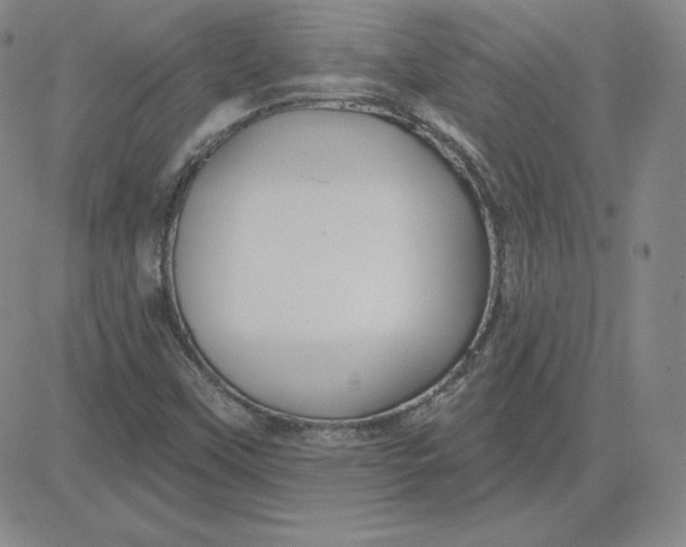 X0000080771451200701021109