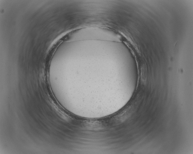 X0000080771452200701021109