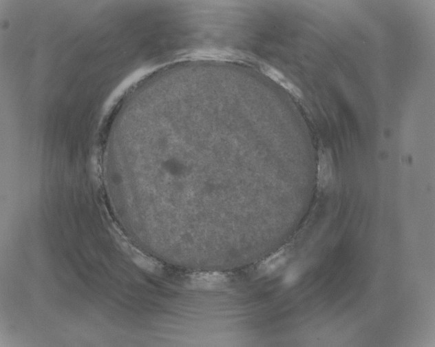 X0000080771454200701021109