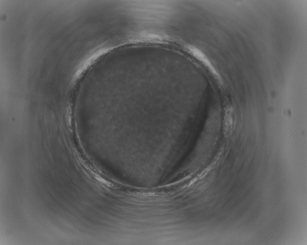 X0000080771455200701021109