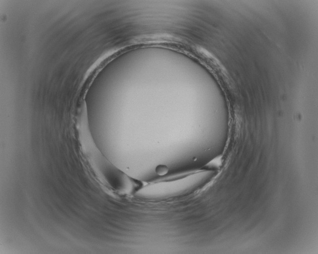 X0000080771457200701021109