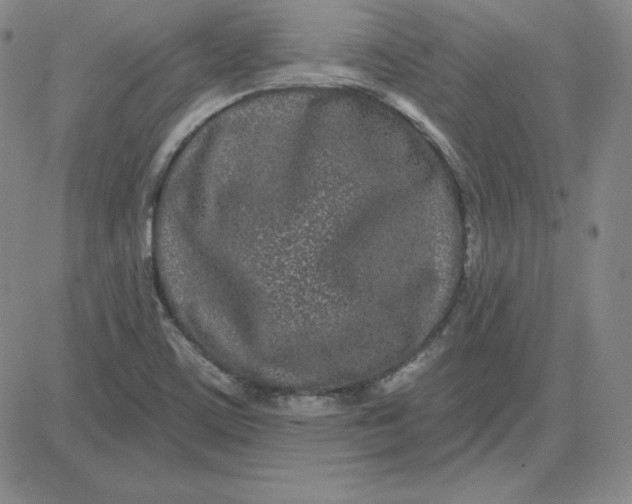 X0000080771459200701021109