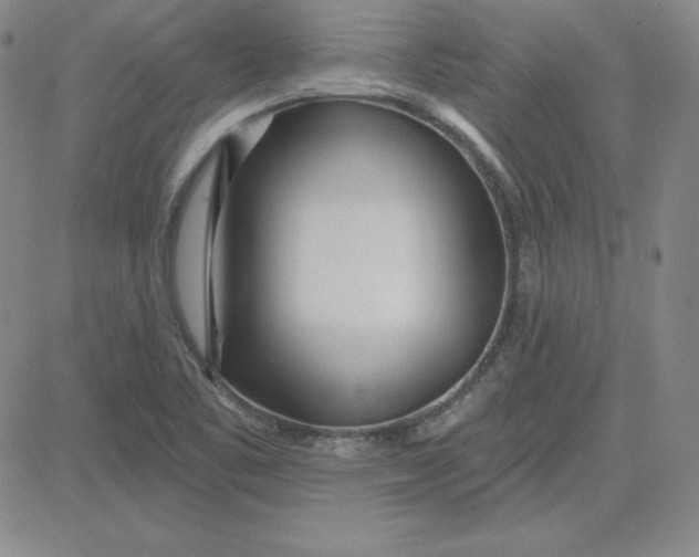 X0000080771461200701021109