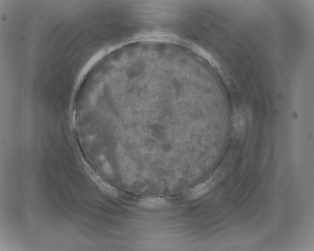 X0000080771462200701021109