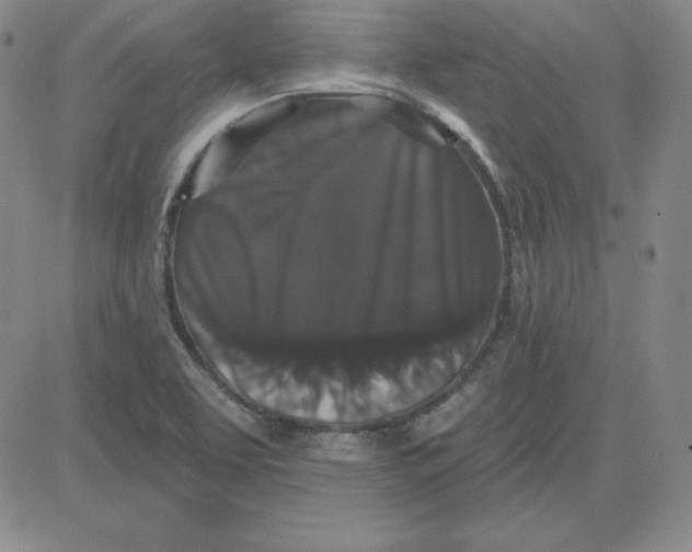 X0000080771463200701021109