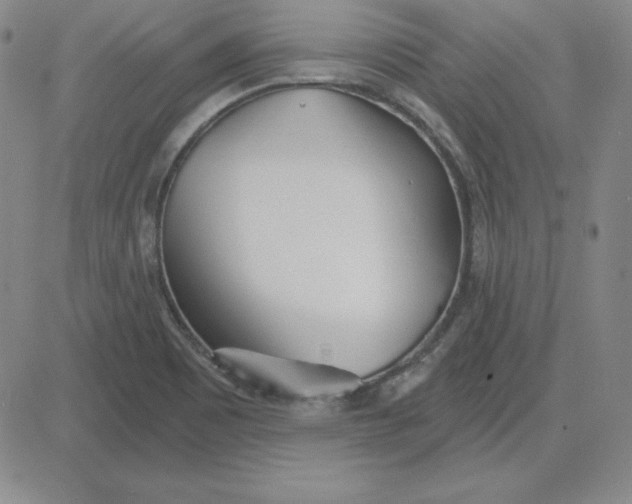 X0000080771465200701021109