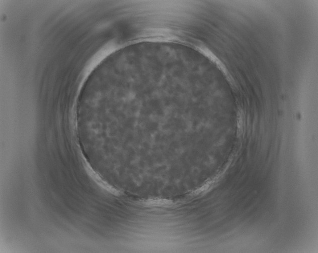 X0000080771466200701021109