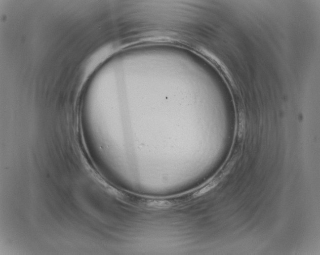 X0000080771467200701021109