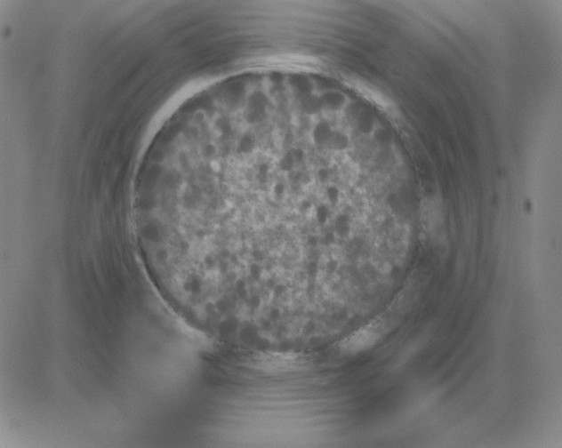 X0000080771470200701021109