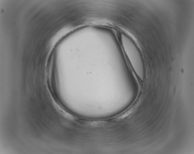 X0000080771471200701021109