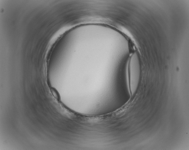 X0000080771472200701021109