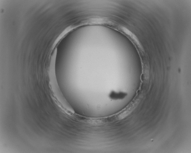 X0000080771473200701021109