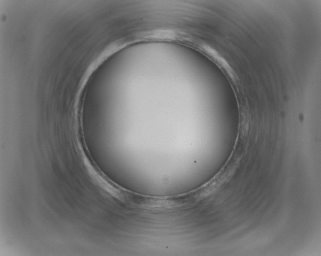 X0000080771475200701021109