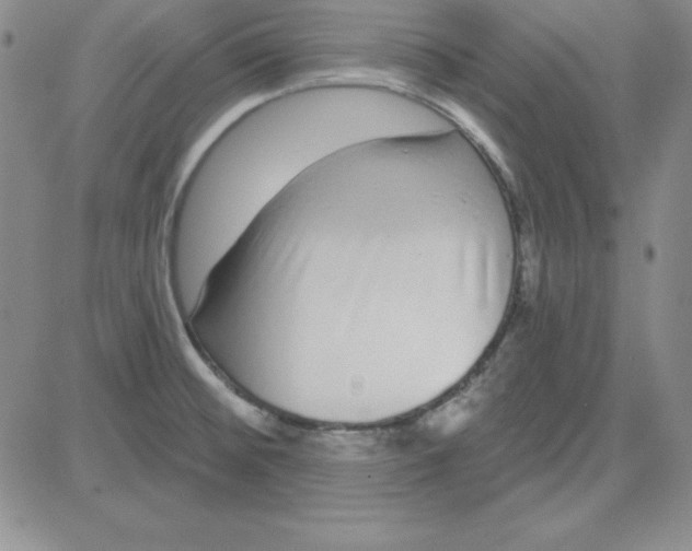 X0000080771476200701021109