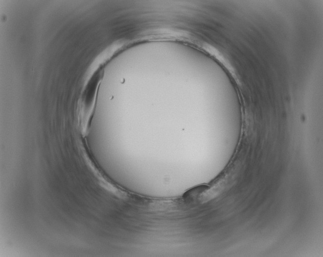 X0000080771477200701021109