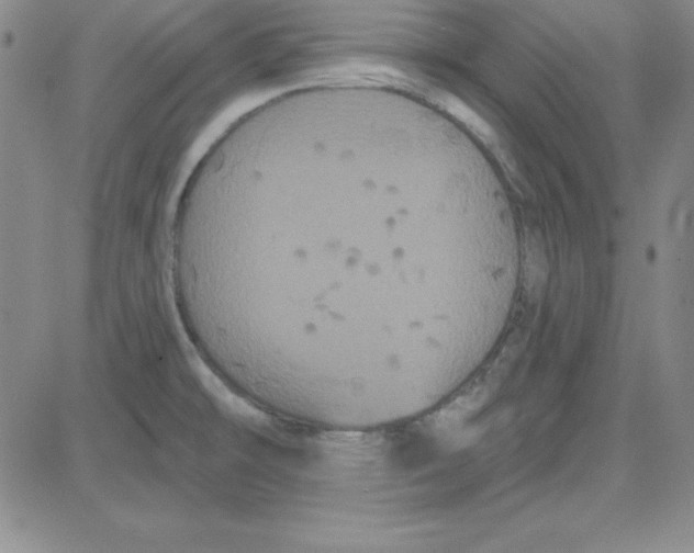 X0000080771478200701021109