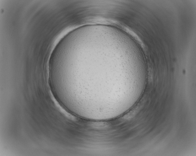 X0000080771479200701021109