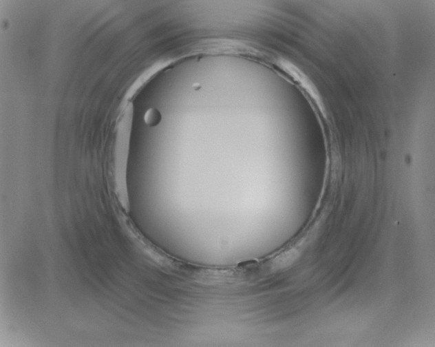 X0000080771481200701021109