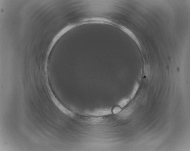 X0000080771482200701021109