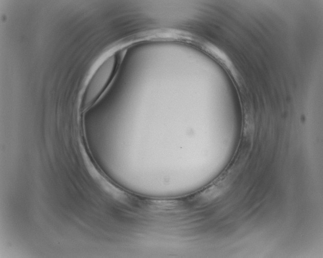 X0000080771483200701021109