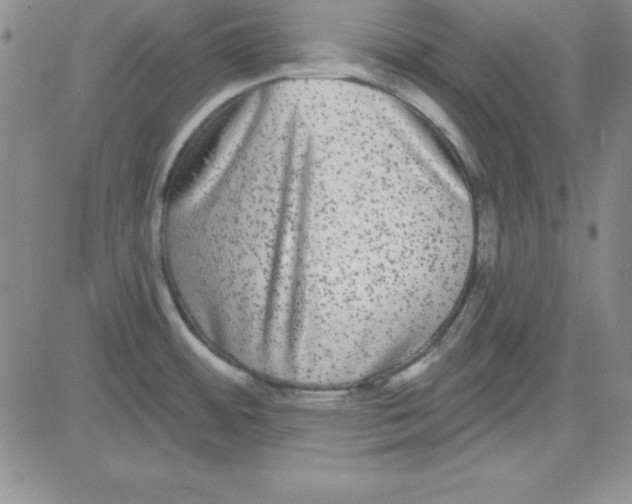 X0000080771484200701021109