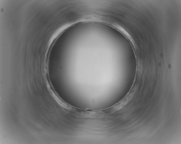 X0000080771485200701021109