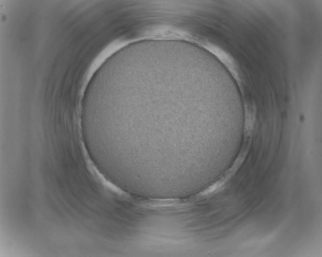 X0000080771486200701021109