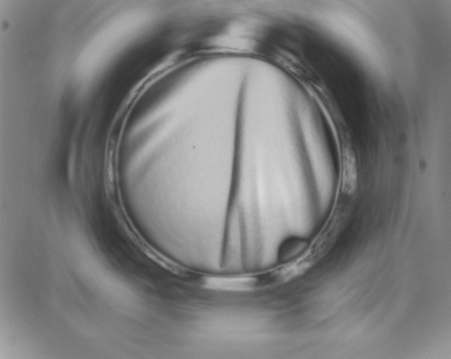 X0000080771487200701021108