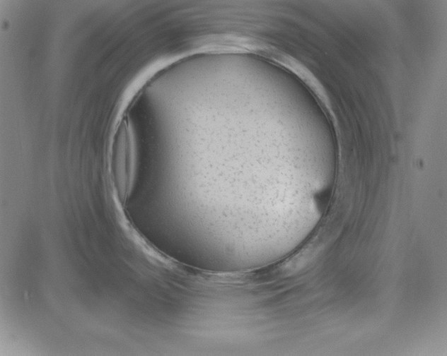 X0000080771488200701021108