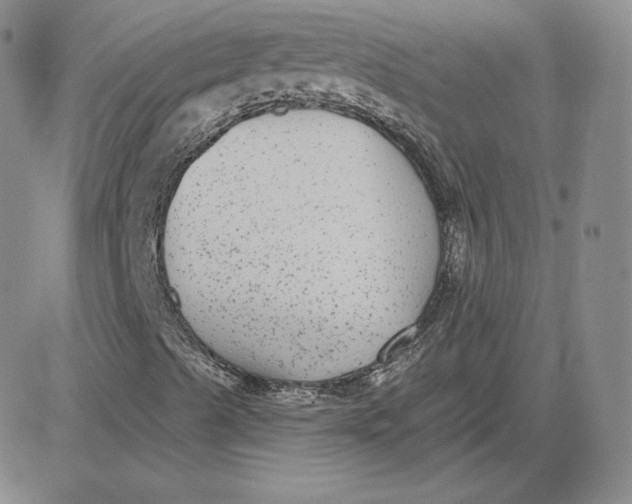 X0000080771489200701021108