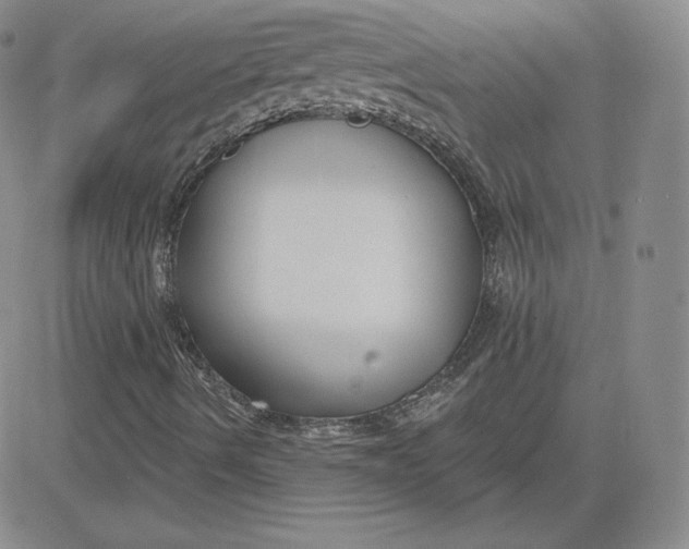 X0000080771490200701021108