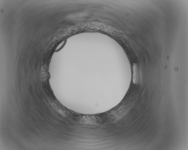 X0000080771491200701021108