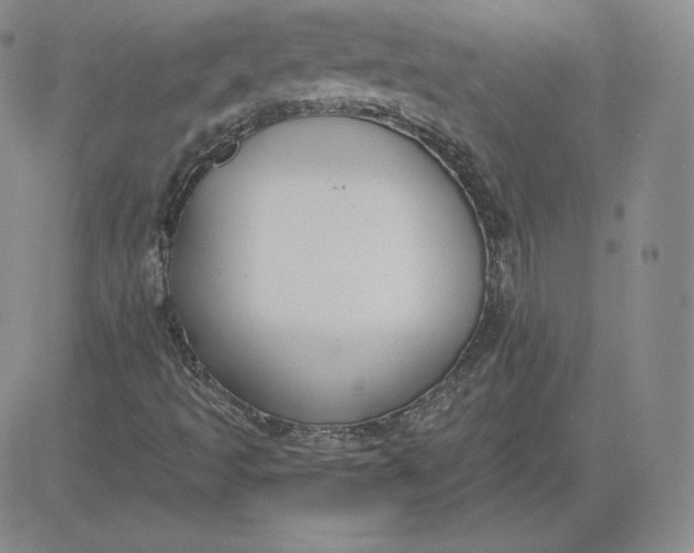 X0000080771493200701021108