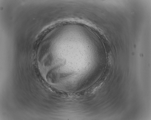 X0000080771494200701021108