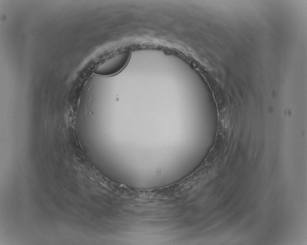 X0000080771495200701021108