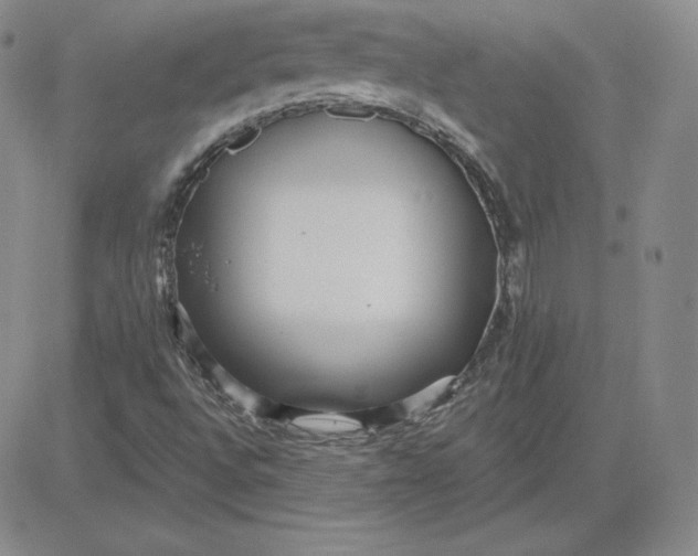 X0000080771496200701021108