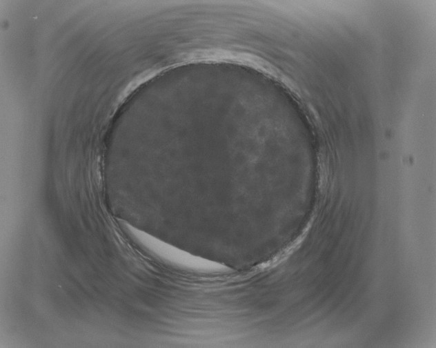 X0000080771497200701021108