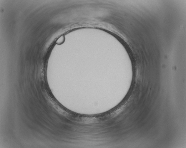 X0000080771498200701021108