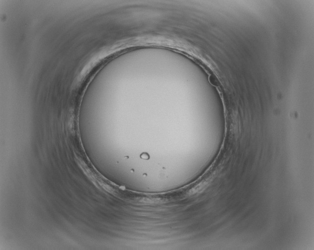 X0000080771499200701021108