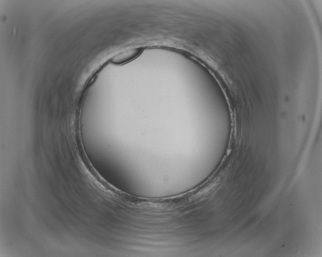 X0000080771500200701021108