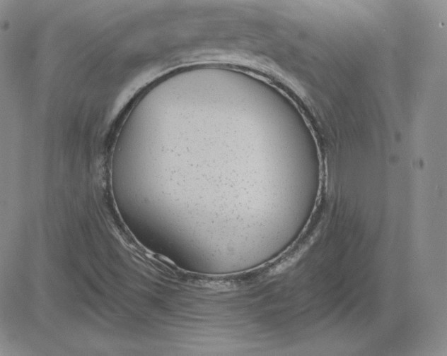 X0000080771501200701021108