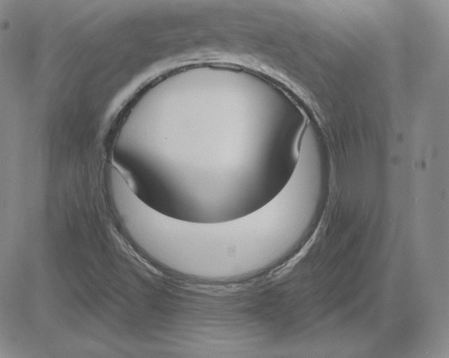 X0000080771502200701021108