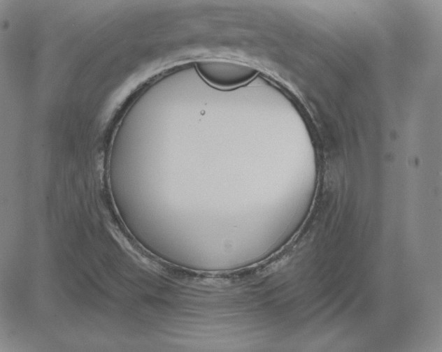 X0000080771503200701021108