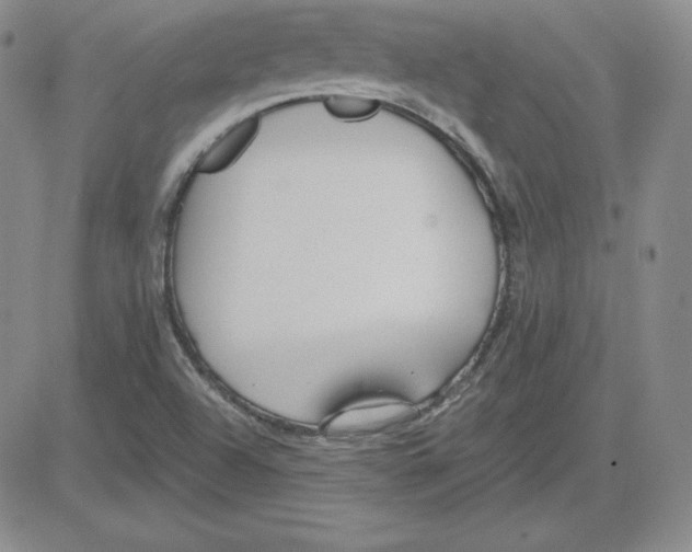 X0000080771504200701021108