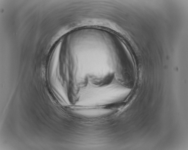 X0000080771505200701021108